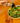 An image of a hand holding a bottle of Maple Sea Salt SaladSprinkles, sprinkling them over a delicious green salad.