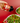 An image of a hand holding a bottle of Chili Crisp SaladSprinkles, sprinkling them over a delicious green salad.